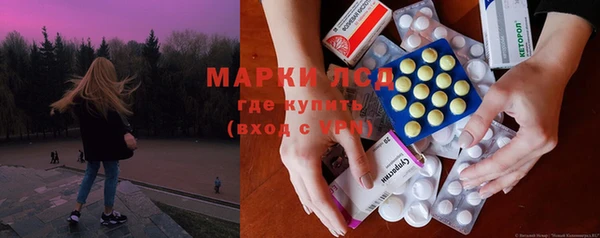 прущие грибы Алексеевка