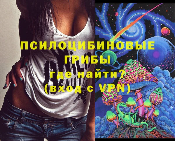 прущие грибы Алексеевка