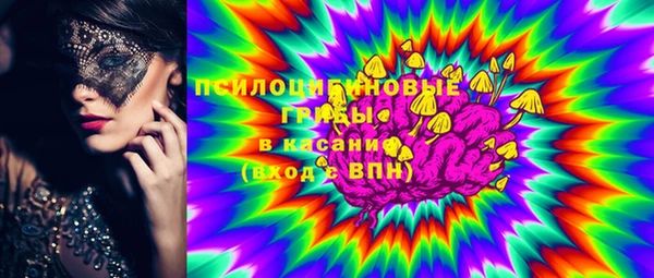 прущие грибы Алексеевка