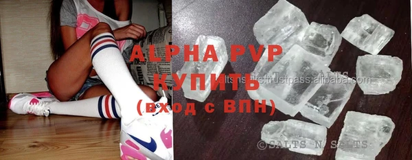 прущие грибы Алексеевка